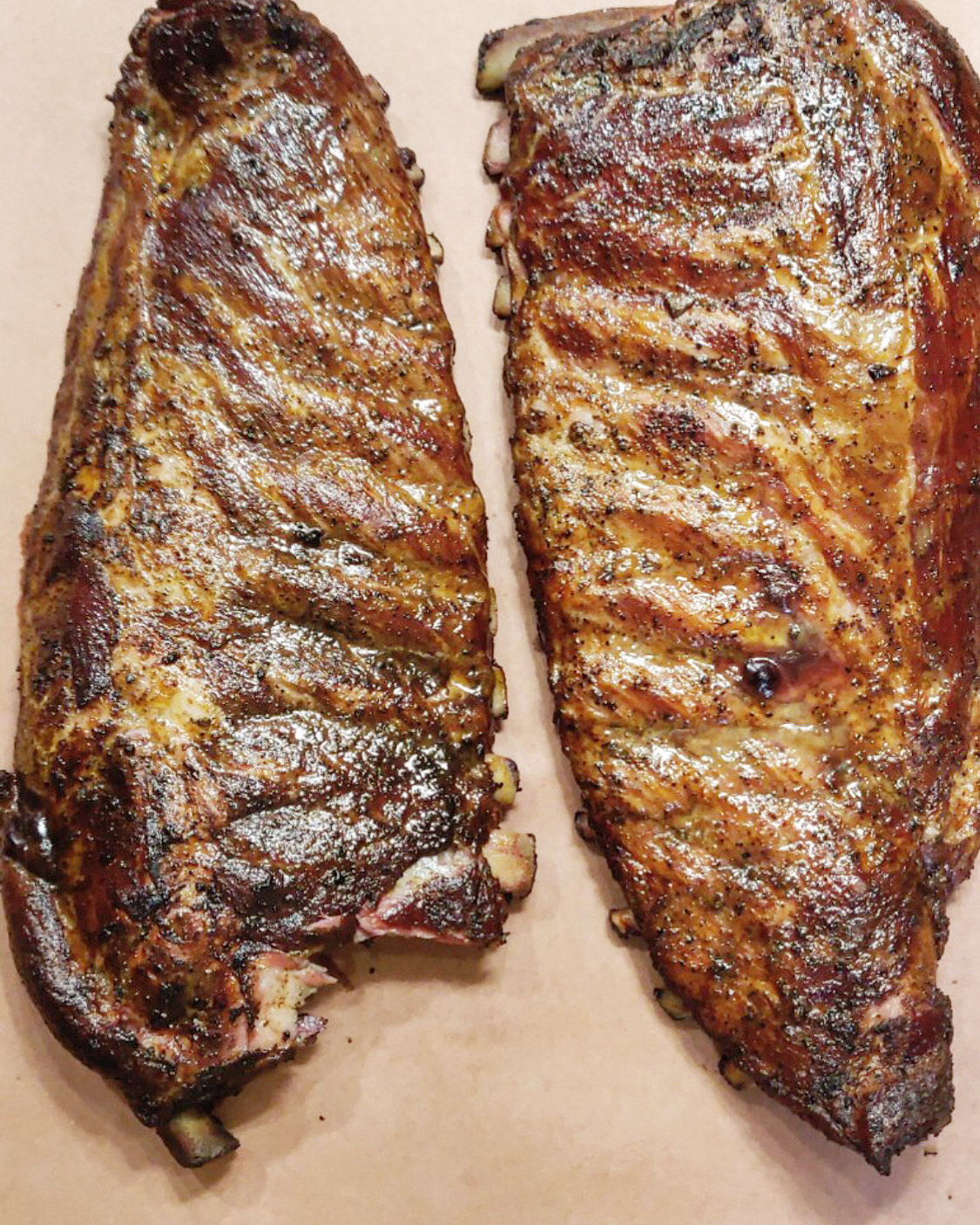 RIBS Main Image